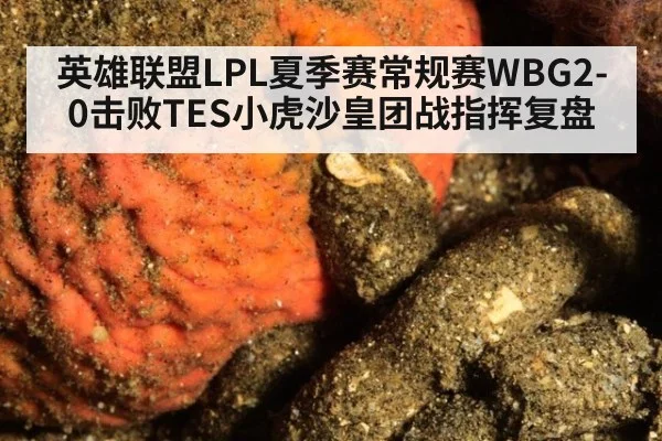 英雄联盟LPL夏季赛常规赛WBG2-0击败TES小虎沙皇团战指挥复盘